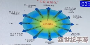 37西方大但人文艺术闽南：跨文化交流与创新的多元发展进展分析