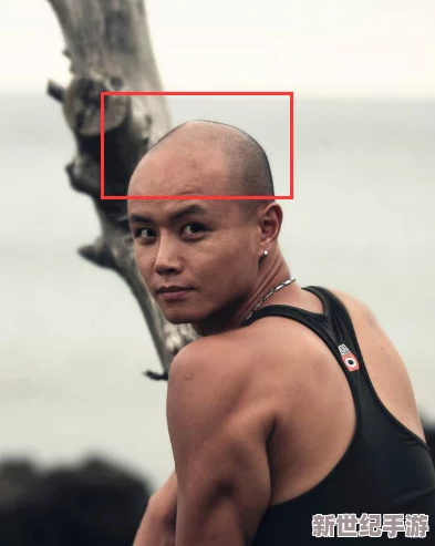 猛男军人胯下巨茎：对男性身体形象与性别认同的社会文化分析及其影响研究