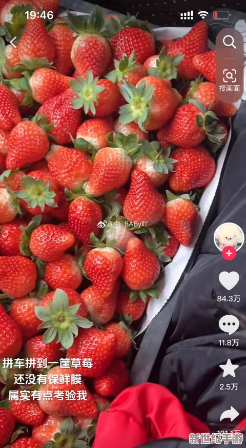 草莓视频2032：意外曝光！震惊世界的草莓视频背后隐藏惊天秘密，引发全网热议与讨论！