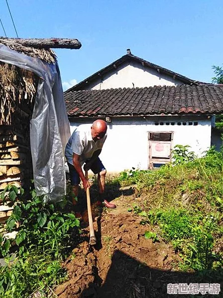火爆社区绿巨人：惊现神秘力量引发居民恐慌，绿巨人或成邻里守护神！