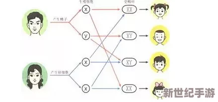 双夫1V2：探讨多元家庭结构对亲子关系的影响与挑战，及其在现代社会中的适应性分析