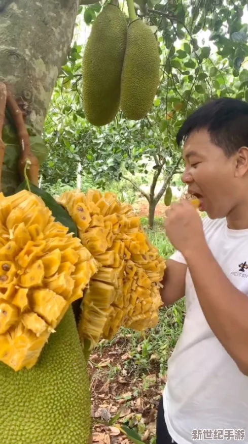 菠萝菠萝蜜视频竟引发全民热潮，网友疯狂传播，背后隐藏惊人故事让人意想不到！