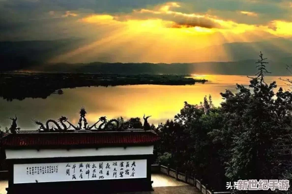 家庭轮换：如何通过灵活的居住安排提升家庭成员之间的亲密关系与沟通效率，促进和谐共处的新模式