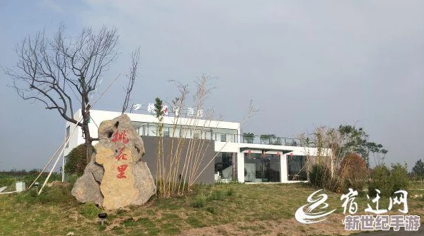 桃花师如何升等级？竟然可以通过这个简单的方法快速提升等级，您绝对想不到！