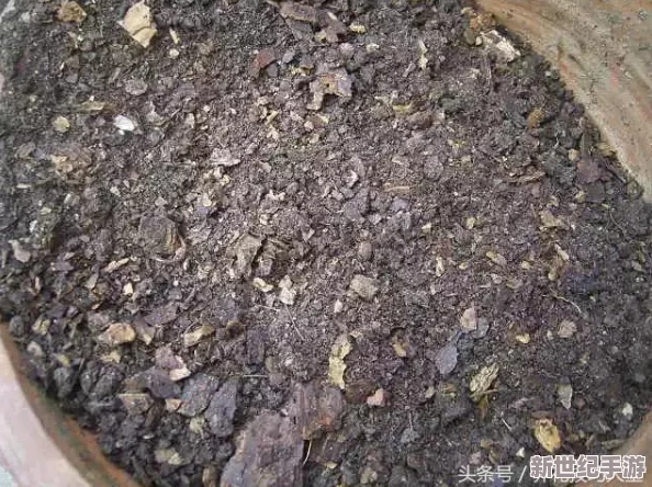 黑土的脚：科学家发现黑土土壤中潜藏惊人微生物，可能改变全球农业发展模式！
