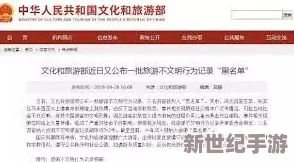 芙宁娜被旅行者导管网站下载：分析其对数字内容传播与版权保护的影响及未来发展趋势