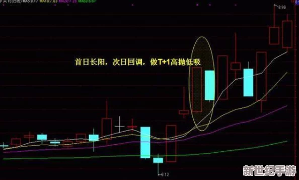 淑荣第二次上船：震撼发现！船上隐秘宝藏与千年遗物的真实面纱被揭开！