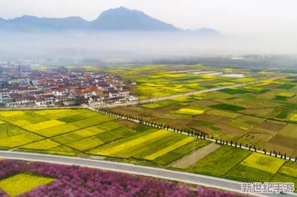 时间暂停游戏：传闻某知名游戏公司正在研发一款全新机制的游戏，玩家将体验到前所未有的沉浸感与互动性！