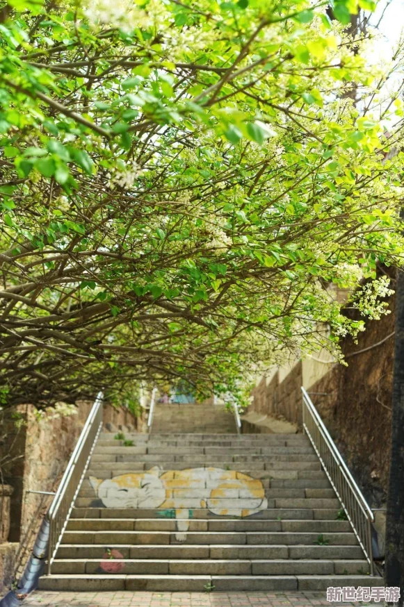 猫咪最新永久地域：全球首次发现猫咪拥有秘密聚集地，科学家揭开其神秘社交网络之谜！