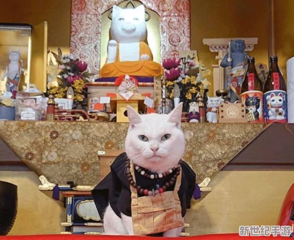 猫咪最新永久地域：全球首次发现猫咪拥有秘密聚集地，科学家揭开其神秘社交网络之谜！