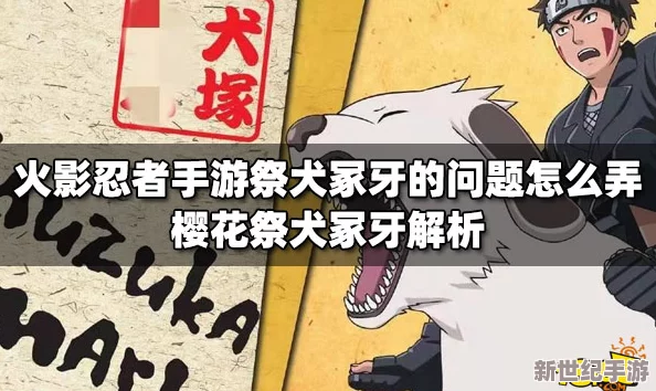 火影忍者手游犬冢花角色获取全攻略：详细步骤与指南