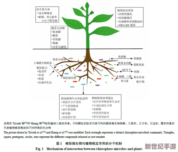柞精病楝7：研究表明其在植物保护中的潜在应用与生态影响分析