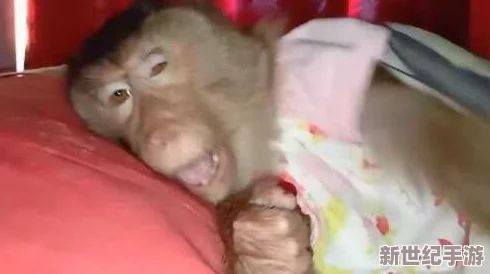 二人生猴子全程不盖被子视频曝八卦：内幕揭秘两人关系暧昧情感纠葛深