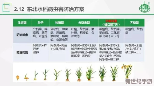 嫩叶草转换路线取得新进展，研究团队成功优化了生物转化效率与产量提升方案