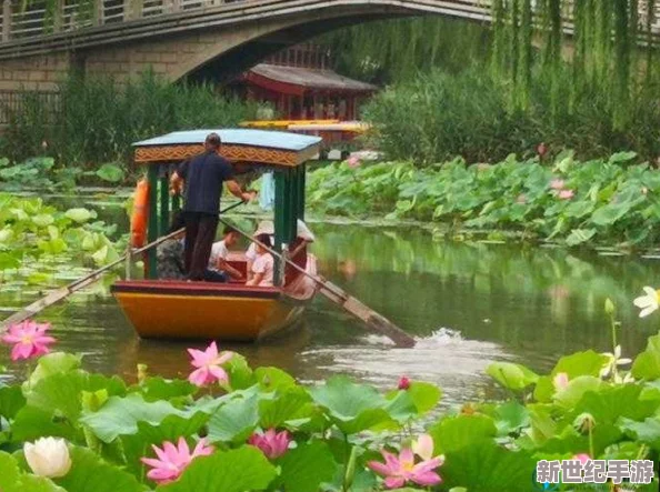 老人船上弄雨荷第13集介绍：惊人悬疑揭晓，老人与船的秘密关系震撼全场！