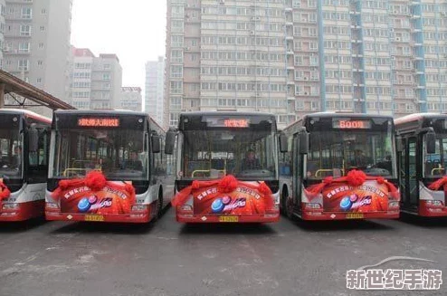 站着从后面是不是要紧一些公交车：探讨在拥挤的公共交通中，乘客选择站立位置对安全和舒适度的影响