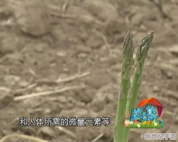 强开嫩花苞太紧了，专家警告：如此危险操作或将引发严重后果！