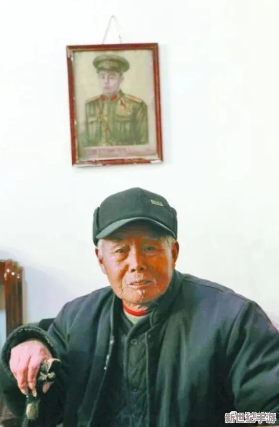 热血江湖中梅与卢角色对比：谁更能承受战斗压力？