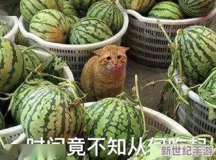91吃瓜色欲：探讨网络文化中“吃瓜”现象对年轻人性观念的影响与反思