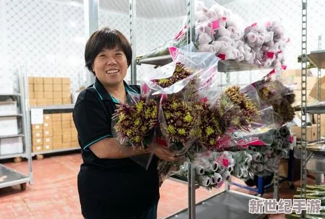 四季物语免费领20个亿钻石，玩家如何快速获取丰厚奖励与游戏攻略分享解析