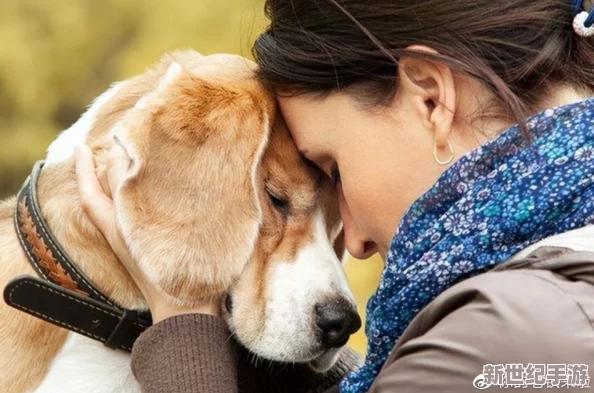 人or猪or狗：探讨不同物种的智力、情感与社会行为的异同与影响