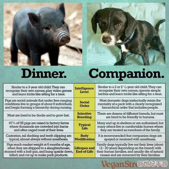 人or猪or狗：探讨不同物种的智力、情感与社会行为的异同与影响