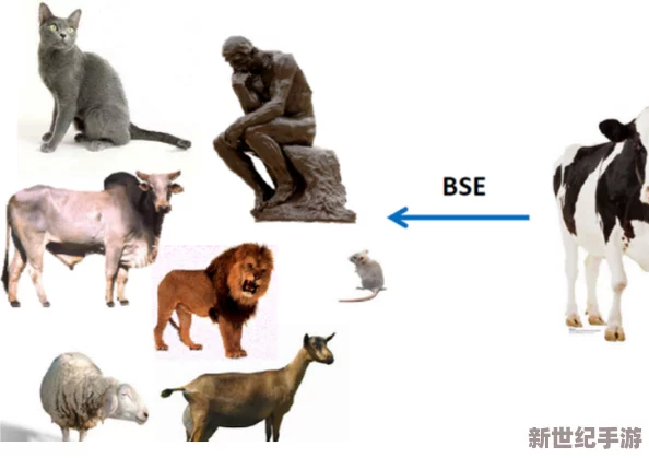 人or猪or狗：探讨不同物种的智力、情感与社会行为的异同与影响