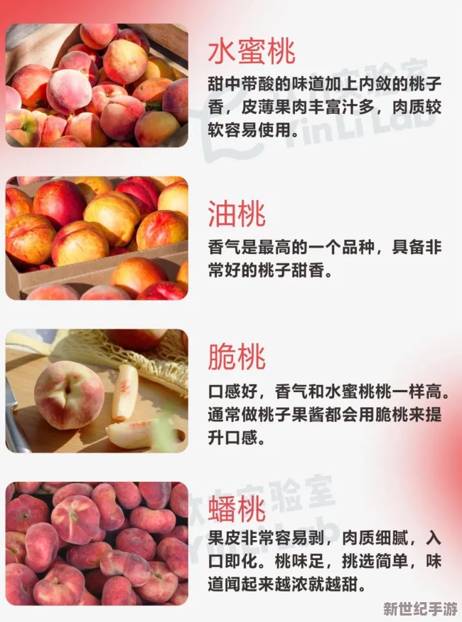 97密桃：网友热议其口感与营养价值，纷纷分享购买体验和食用建议，引发广泛关注与讨论