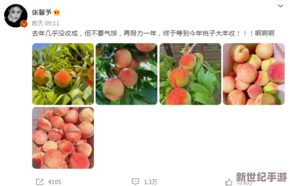 97密桃：网友热议其口感与营养价值，纷纷分享购买体验和食用建议，引发广泛关注与讨论