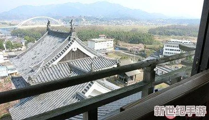 300大作战中明智光秀的高效出装与加点技巧全面解析