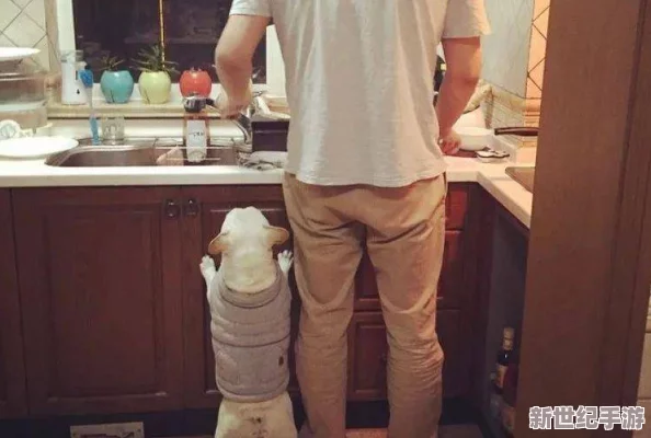 厨房里强摁做开腿伸吟，网友热议：这究竟是生活的真实写照还是另一个社会现象的反映？
