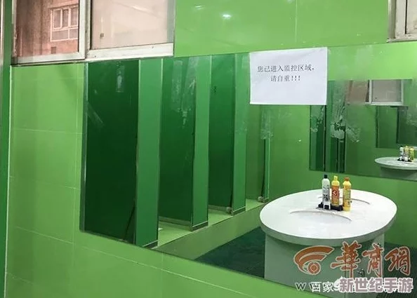 海滩厕婾窥免费视频引发热议，网友纷纷讨论隐私权与公共场所安全问题，相关法律法规亟待完善！