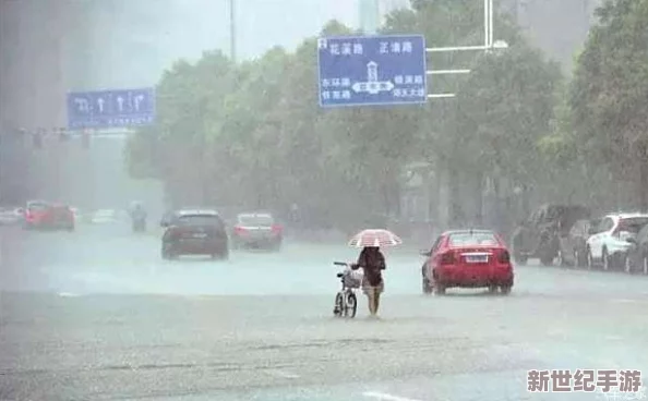 大雷擦：一场席卷全国的强降雨引发洪水，多个地区紧急应对，民众生活受到严重影响，气象部门发布预警