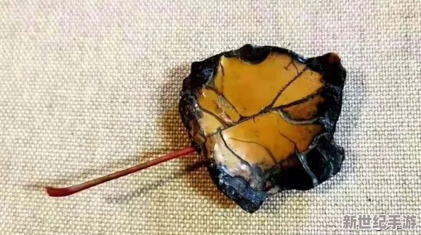 《黑神话：悟空》游戏中如何获取悟空变身石头的具体方法