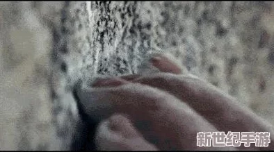《b站免费必看的3000纪录片》：带你领略世界的奇妙与真实，丰富你的视野和知识！