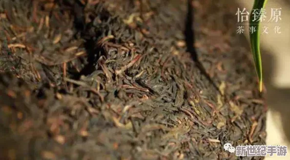 三亚新茶嫩茶wx＂惊现极品新品，茶叶含量创历史新高，价值翻倍让茶友们为之疯狂！