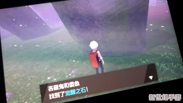 宝可梦大探险：全面解析伊布进化攻略与游戏内容精彩介绍