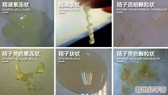 体内 精69XXXXXx白浆：探讨精液成分及其在生殖健康中的重要性与影响因素分析