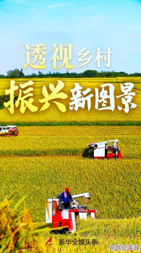 日本农村毛葺葺XXXXX：新一季农作物丰收在即，乡村振兴政策助力农业发展再上新台阶