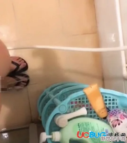 张柏芝黑森林毛毛图片高清，最新动态曝光，网友热议其独特魅力与时尚风格，引发广泛关注与讨论