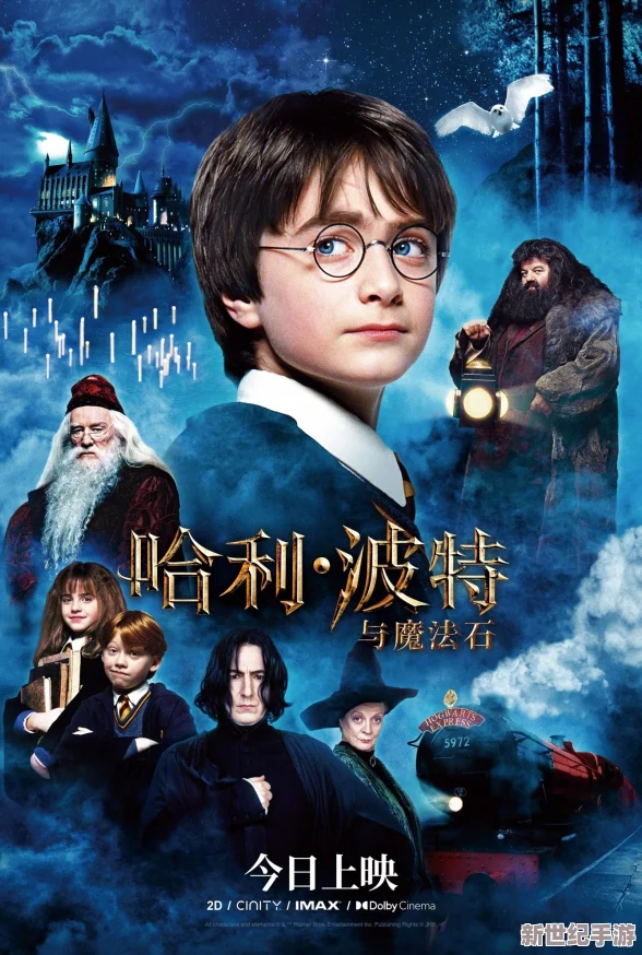 霍格沃茨之遗：深度对比豪华版与普通版，哪个更值得入手？
