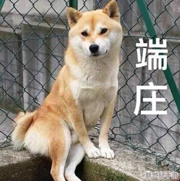 蜜汁肉桃[柴犬]：可爱柴犬与美味蜜汁肉桃的完美搭配，带你领略舌尖上的幸福时刻！