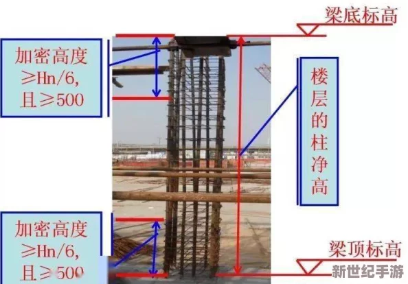 餐厅养成记：全面掌握客户更换技巧与方法指南