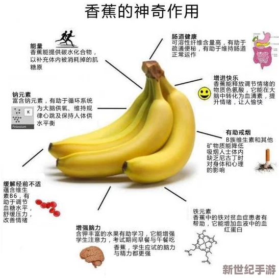 久青草香蕉精品视频在线：最新科技进展引发热议，如何影响未来视频内容创作与消费趋势？