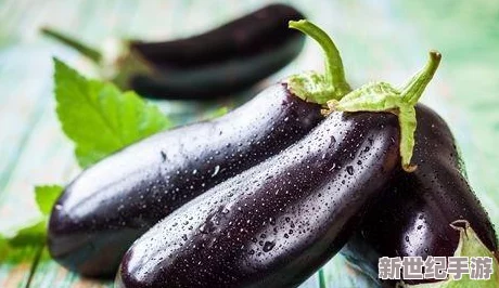 茄子璜＊：新研究揭示其营养价值与健康益处，助力科学饮食新风潮！