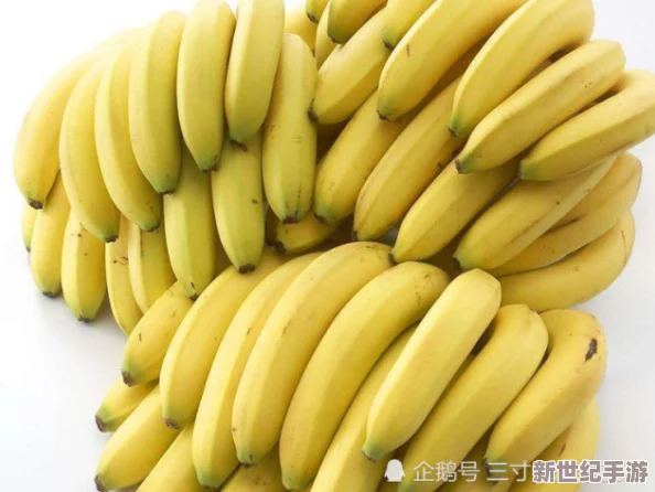 草莓香蕉榴莲丝瓜璜瓜茄子：新鲜水果与蔬菜的营养搭配，助力健康饮食新风潮！