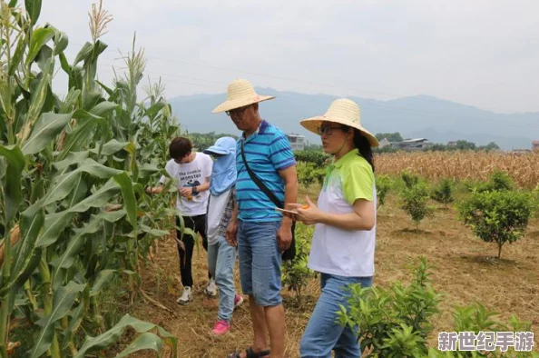 91黄：了解这款热门产品背后的成分特点与使用效果，以及它在市场上的受欢迎程度和用户反馈