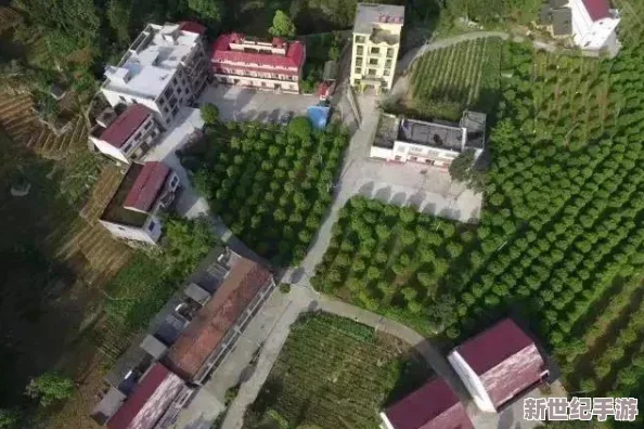 渝巫有券游戏角色强度解析：最强角色排行榜单揭晓