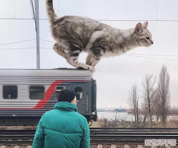 猫咪5.0：全新智能互动体验上线，带你进入猫咪的奇妙世界，感受萌宠生活的新乐趣与科技结合的魅力！