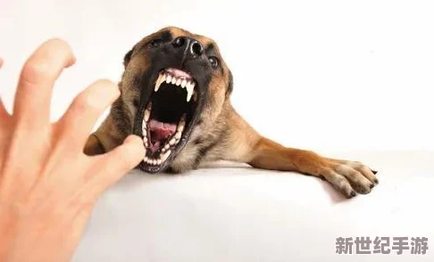 女人脱了裤衩让男人桶，现场气氛火热引发围观，网友纷纷评论这场景太劲爆！